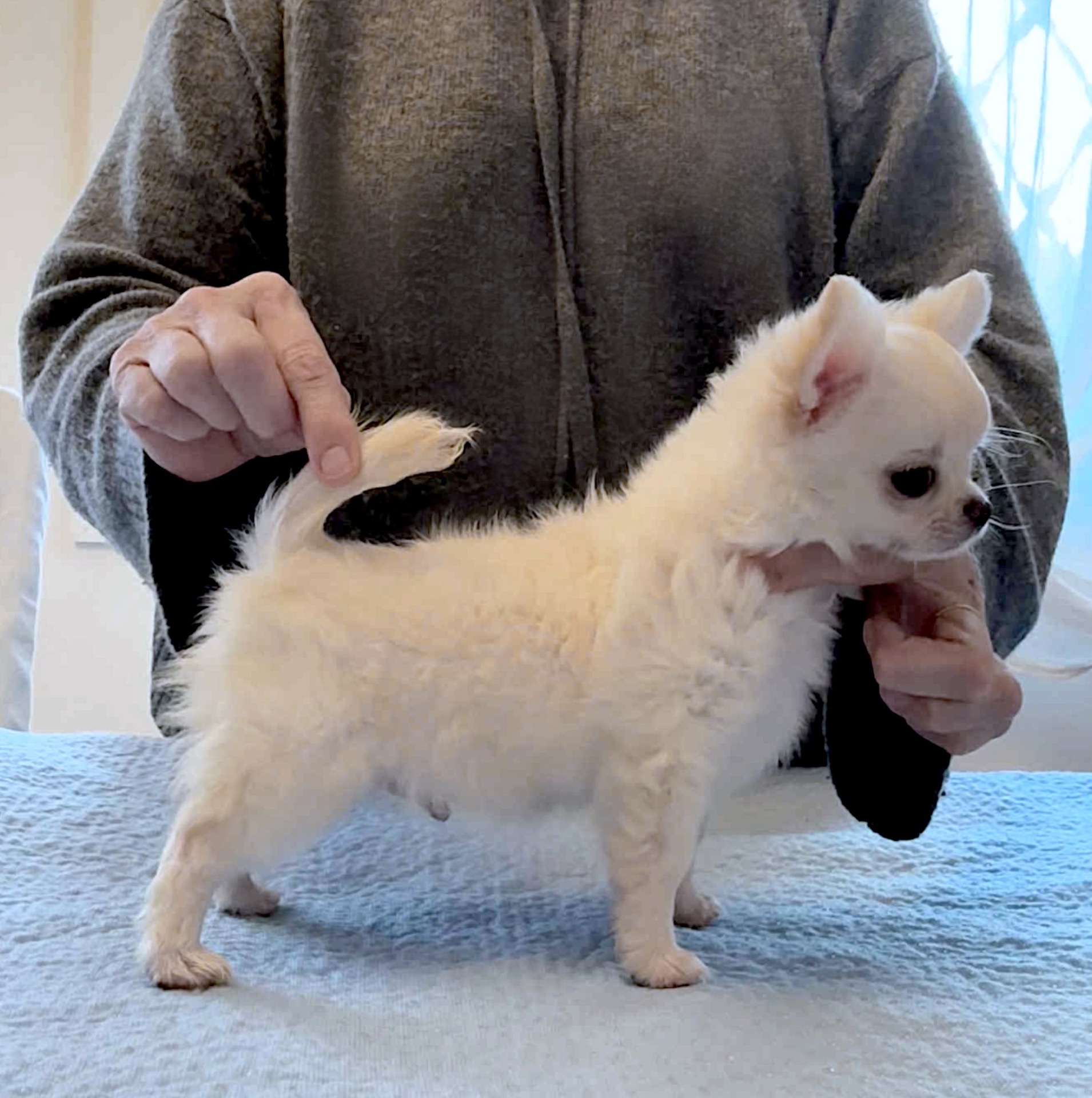 None Of Your Business